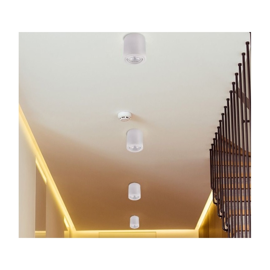 LED Spotlight TUBA 1xGU10/5W/230V 4000K weiss