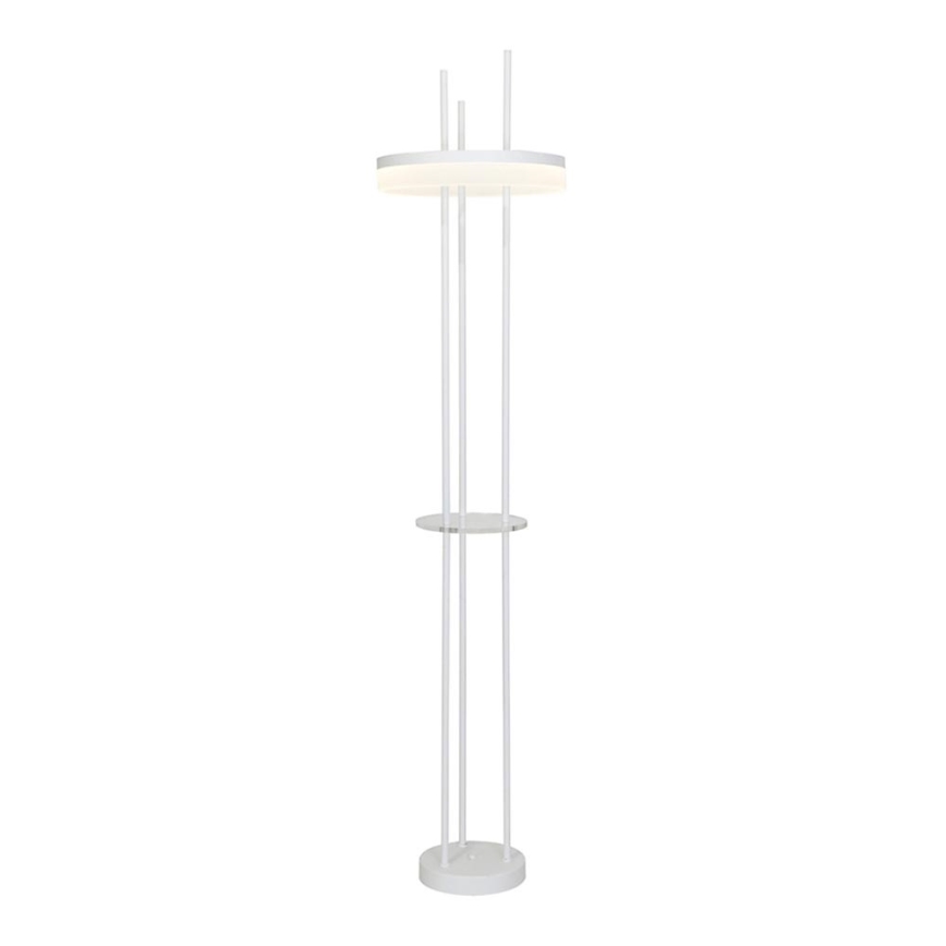 LED Stehlampe RING LED/24W/230V
