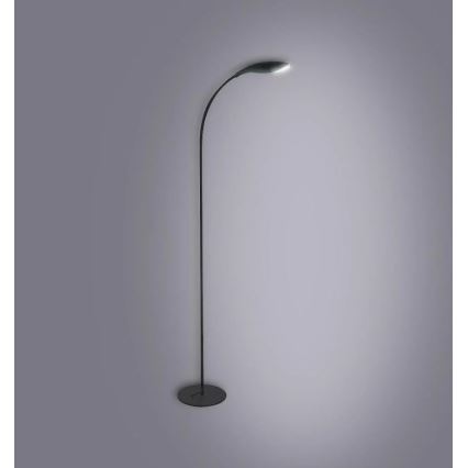 LED-Stehleuchte SWAN LED/6,5W/230V schwarz