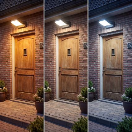 Dimmbare LED-Außenwandleuchte LED/12/18/24W/230V 3000/4000/6500K IP54 schwarz