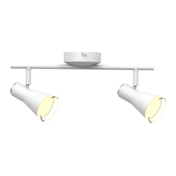 LED-Strahler BERG 2xLED/4,2W/230V weiß