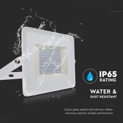 LED-Strahler LED/100W/230V 6500K IP65 weiß