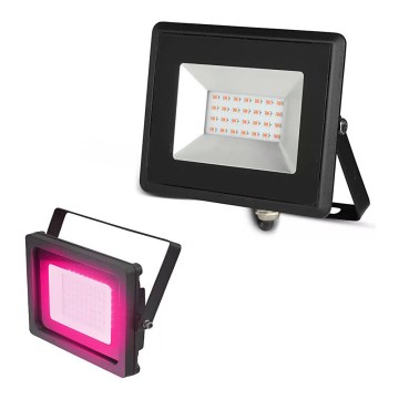LED-Strahler LED/20W/230V IP65 rosa Licht