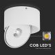 Flexibler LED-Strahler LED/28W/230V 3000/4000/6400K CRI 90 weiß