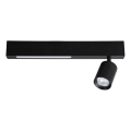 LED-Strahler MAGNET LED/5W/230V + 1xGU10/60W 3000/4000K schwarz