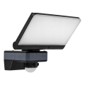 LED-Strahler mit Bewegungs- und Dämmerungssensor LED/44W/230V 4200K IP54 schwarz
