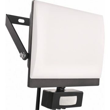 LED-Strahler mit Bewegungs- und Dämmerungssensor TAMBO EVO LED/30W/230V 4000K IP44 schwarz