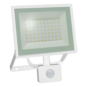 LED-Strahler mit Bewegungsmelder NOCTIS LUX 3 LED/50W/230V 4000K IP44 weiß