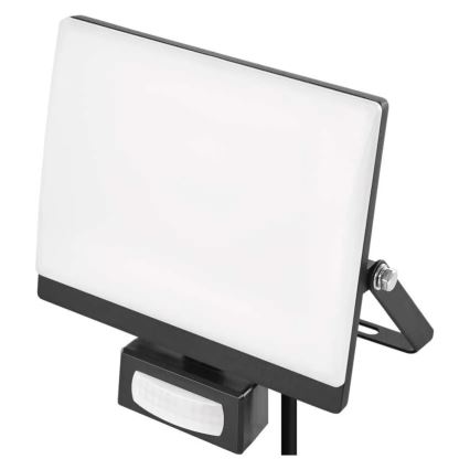 LED-Strahler mit Bewegungs- und Dämmerungssensor TAMBO EVO LED/30W/230V 4000K IP44 schwarz