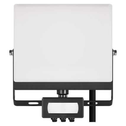LED-Strahler mit Bewegungs- und Dämmerungssensor TAMBO EVO LED/30W/230V 4000K IP44 schwarz