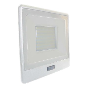 LED-Strahler mit Sensor LED/50W/230V 6500K IP65 weiß