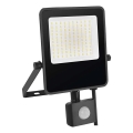 LED-Strahler mit Sensor VISIO LED/50W/230V 4000K IP65