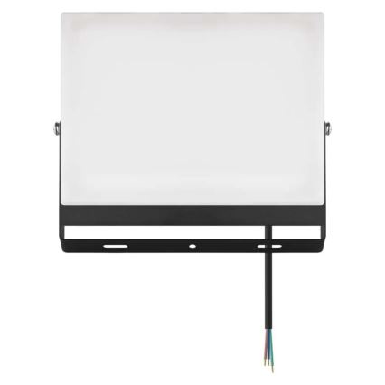 LED-Strahler TAMBO EVO LED/100W/230V 4000K IP65 schwarz