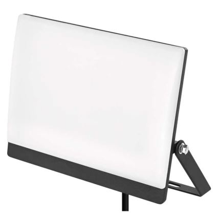 LED-Strahler TAMBO EVO LED/50W/230V 4000K IP65 schwarz