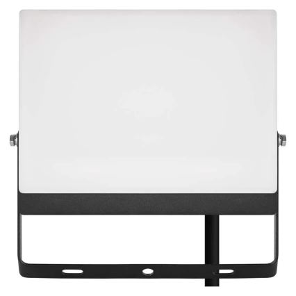 LED-Strahler TAMBO EVO LED/50W/230V 4000K IP65 schwarz