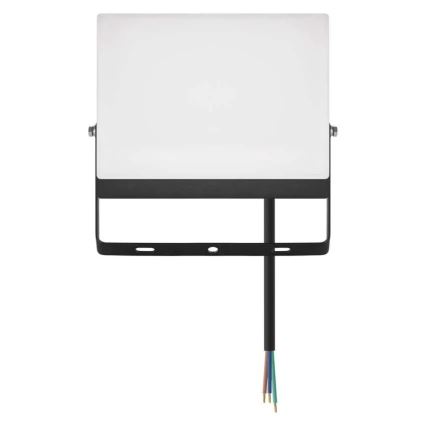 LED-Strahler TAMBO EVO LED/50W/230V 4000K IP65 schwarz