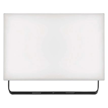 LED-Strahler TAMBO LED/50W/230V 4000K IP65
