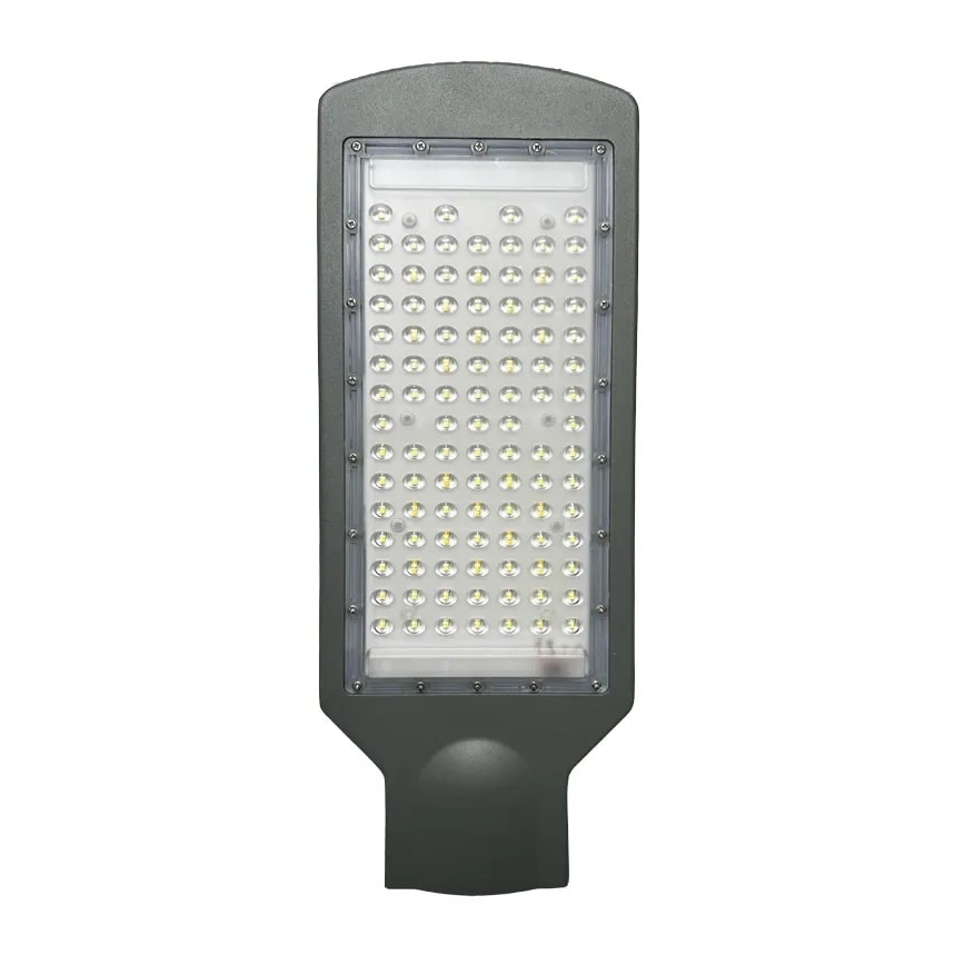 LED-Straßenlaterne LED/100W/170-400V IP65