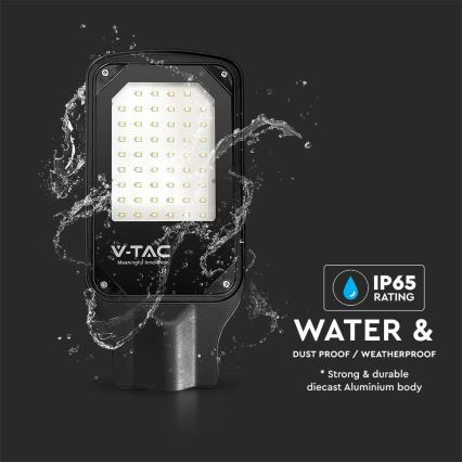 LED-Straßenlaterne LED/50W/230V 6500K IP65