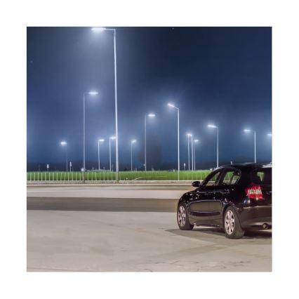 LED Straßenlaterne LED/60W/230V IP65