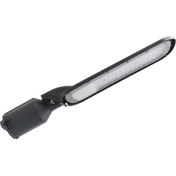 LED-Straßenleuchte BRELUXO LED/100W/230V 4000K IP65