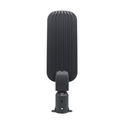 LED-Straßenleuchte BRELUXO LED/150W/230V 4000K IP65