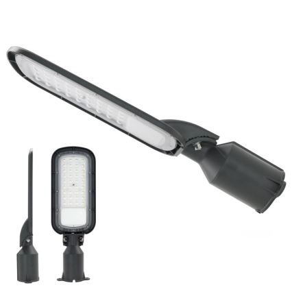 LED-Straßenleuchte BRELUXO LED/50W/230V 4000K IP65