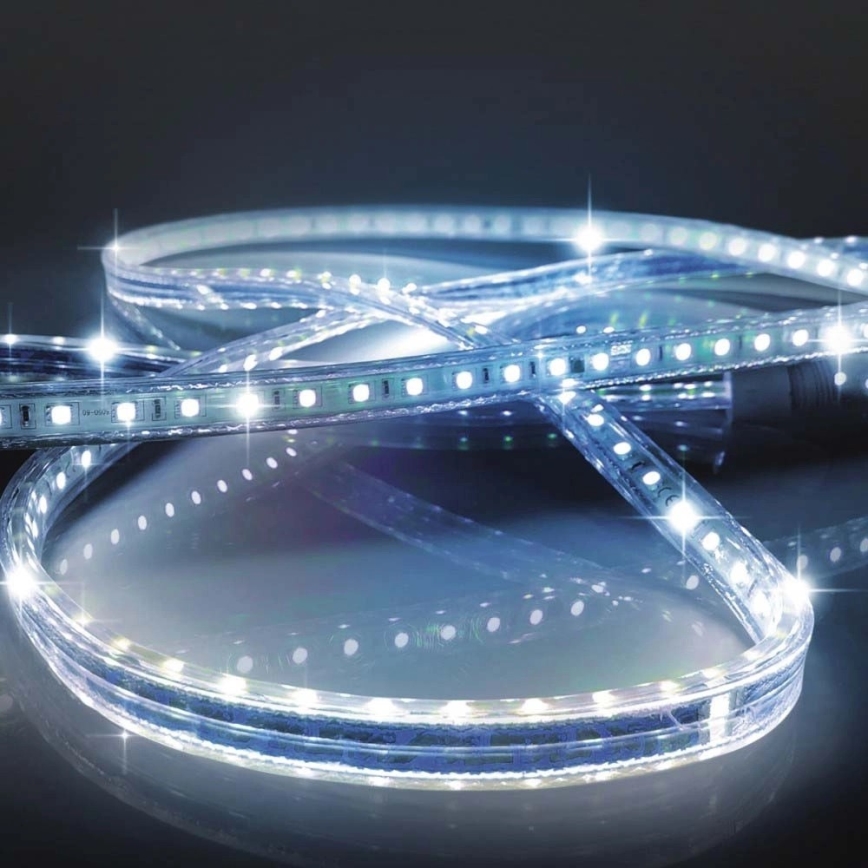LED-Streifen EASY CONNECT LED/14,4W/230V 3m IP67 blau