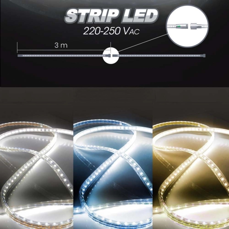 LED-Streifen EASY CONNECT LED/14,4W/230V 3m IP67 blau