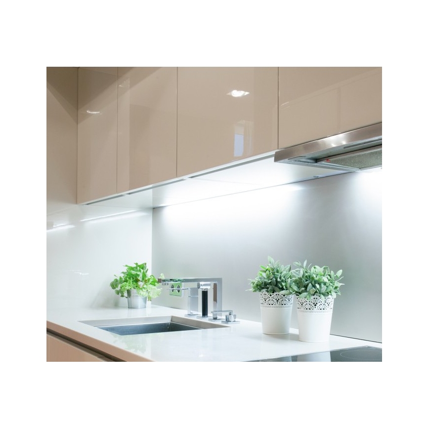 LED-Streifen TRAMO LED/500W/12V 50 m 6500 K