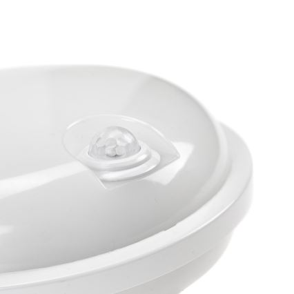 LED-Technikleuchte mit PIR-Sensor LED/20W/230V IP54