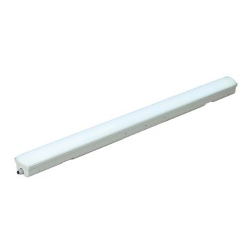 LED technische Leuchte LED/36W/230V IP65