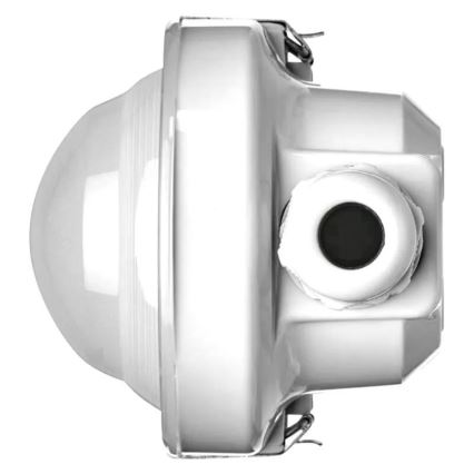 LED technische Leuchte LED/37W/230V IP66 6500K