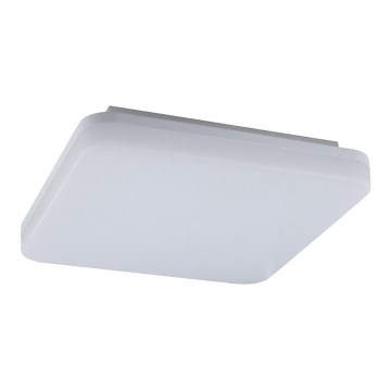LED technische Leuchte RADI LED/18W/230V IP54