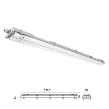 LED Technische Leuchtstoffleuchte T8 2xG13/18W/230V 5000K IP65 127 cm