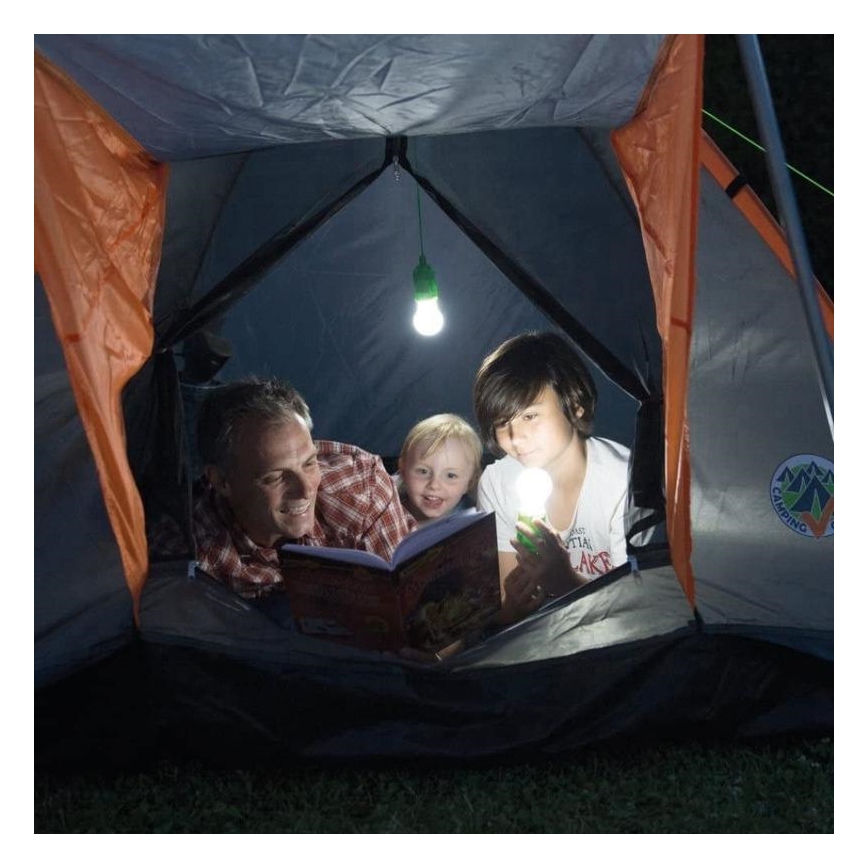 LED Tragbare Leuchte LED/1W/3xAAA grün