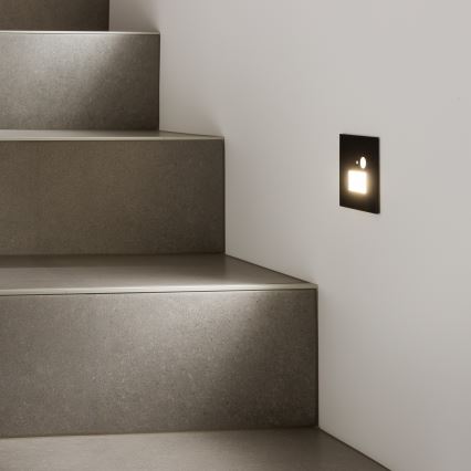 LED-Treppenleuchte mit Bewegungs- und Dämmerungssensor LED/1,5W/230V 3000/4000/6500K schwarz