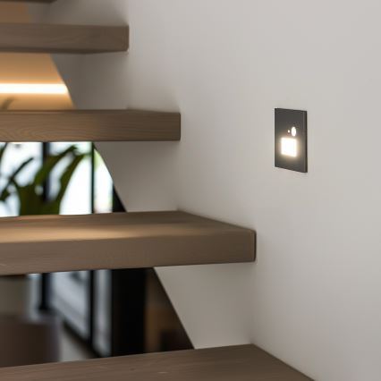 LED-Treppenleuchte mit Bewegungs- und Dämmerungssensor LED/1,5W/230V 3000/4000/6500K silber
