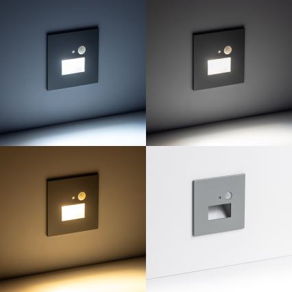 LED-Treppenleuchte mit Bewegungs- und Dämmerungssensor LED/1,5W/230V 3000/4000/6500K silber