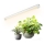 LED Unterbauleuchte für Pflanzenzucht GROWLY LED/9W/230V weiß