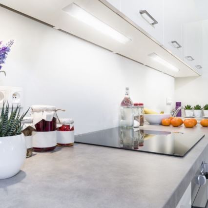 LED-Unterbauleuchte VIGA LED/20W/230V 6000K weiß
