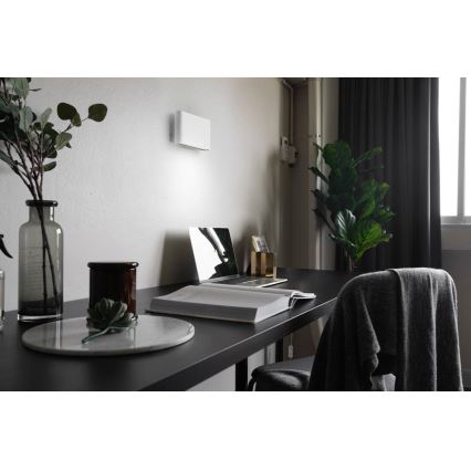 LED Wandbeleuchtung CARLI 2xLED/10W/230V