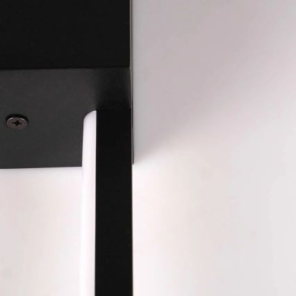 LED-Wandleuchte AISHA LED/12W/230V 4000K schwarz