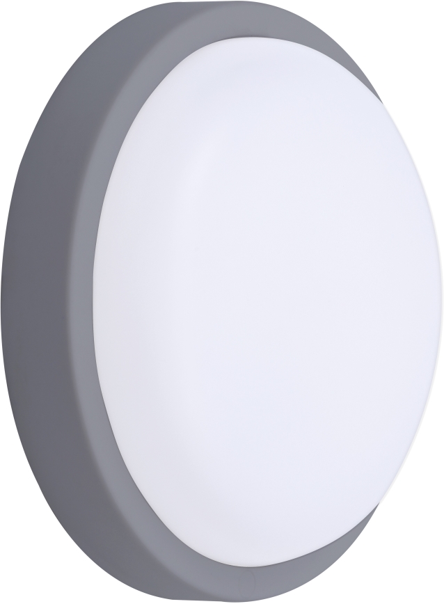 LED-Wandleuchte für Außenbereiche LED/20W/230V 4000K IP54 grau rund