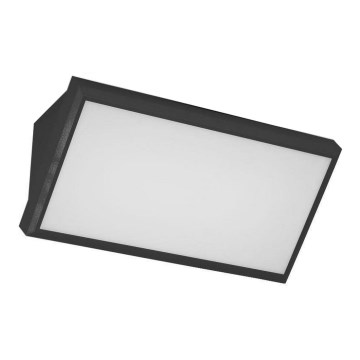 LED-Wandleuchte für den Außenbereich LED/20W/230V 6400K IP65 schwarz