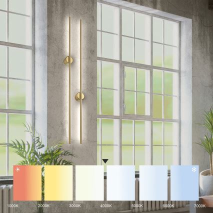 LED-Wandleuchte LANA, 12 W, 230 V, 4000 K, mattgold