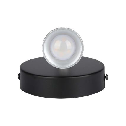 LED Wandspot LED/4,5W/230V 3000K schwarz