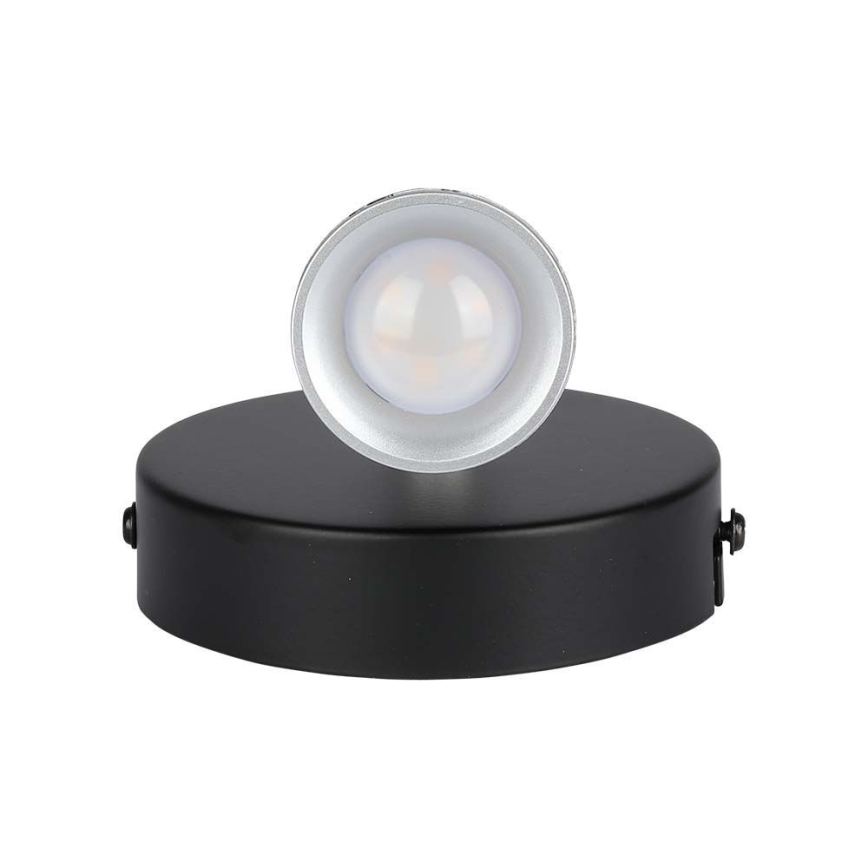 LED Wandspot LED/4,5W/230V 3000K schwarz
