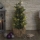 LED Weihnachtsdekoration 30xLED/3xAA IP44