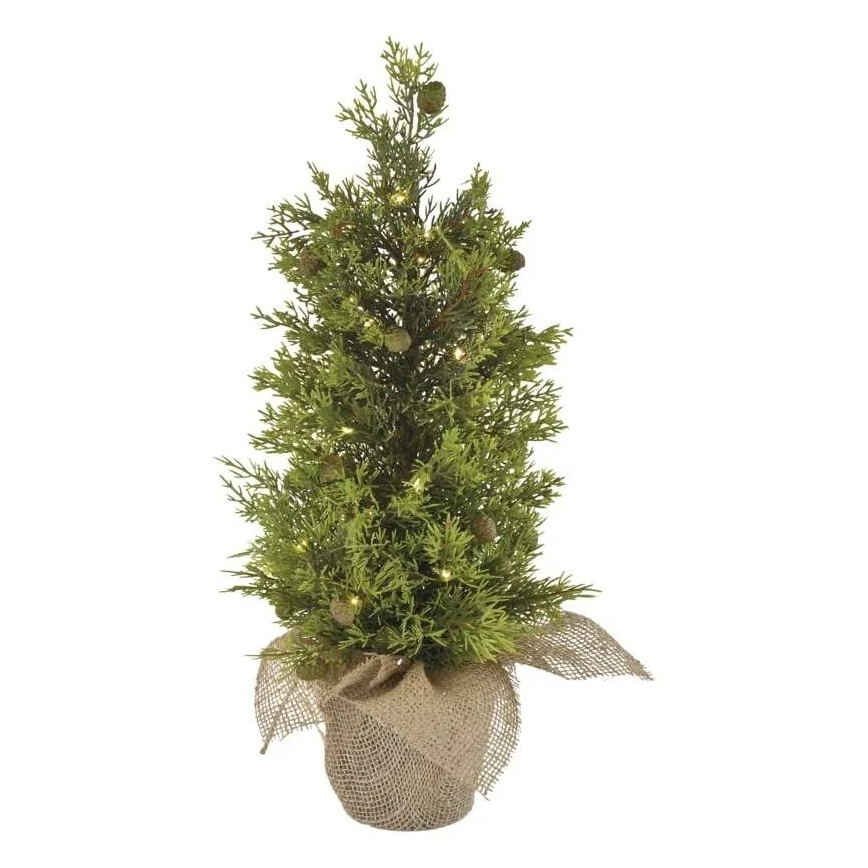 LED Weihnachtsdekoration 30xLED/3xAA IP44